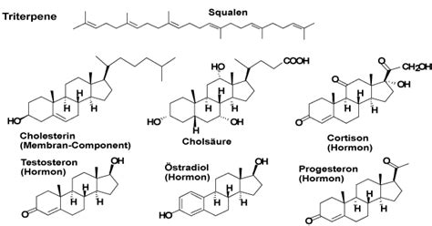 Wenn es sich um die beschreibung der anabolen steroide handelt, so ist dies jedoch keineswegs einfach. CHE 151.1: Organische Chemie für die Biologie