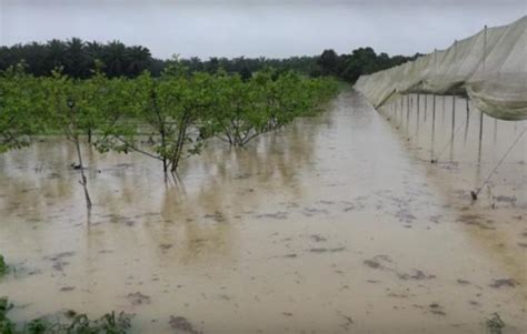 South iran hit by flash floods and heavy rain. Massive flood hits 9 states in Malaysia: Thousands ...