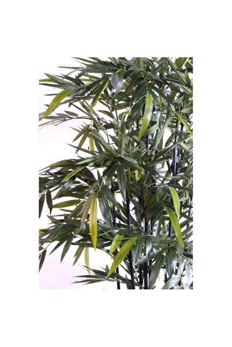 Artificial Bamboo Trees And Plants The Artificial Plants Shop