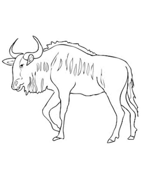 Wildebeest Coloring Pages New Coloring Pages Animal Coloring Pages
