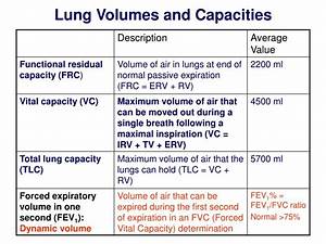 Ppt Overview Of Respiration And Respiratory Mechanics Powerpoint