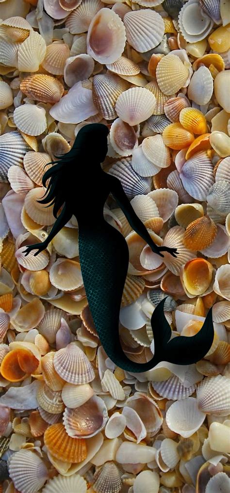 Mermaid Aquarium Sea Real Shell Sirena Hd Phone Wallpaper Peakpx