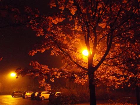 Autumn Nights ~ Autumn Posters Picture