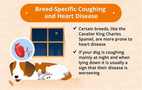 Dog Coughing Causes And Natural Remedies Canna Pet