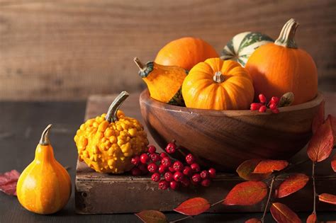 Cosa fare delle zucche svuotate e decorate per la ma le zucche di halloween sono commestibili? Come decorare casa con la zucca ornamentale | DeAbyDay