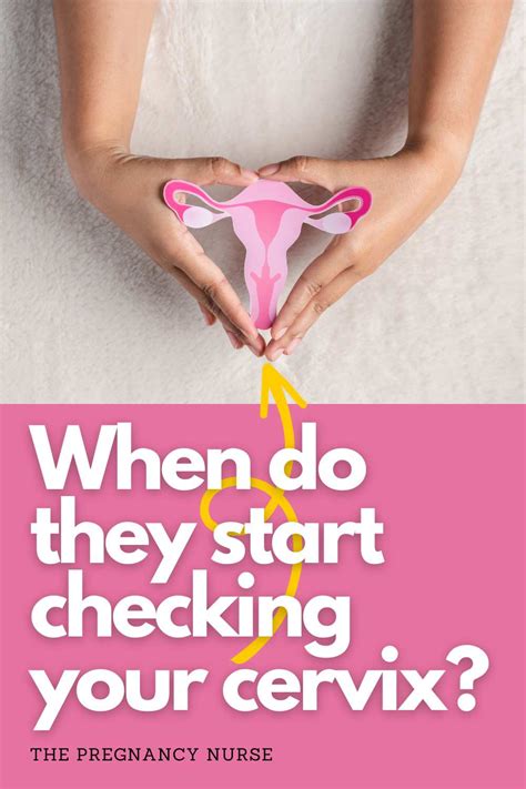 When Do Cervical Checks Start In Pregnancy Weeks The Pregnancy Nurse