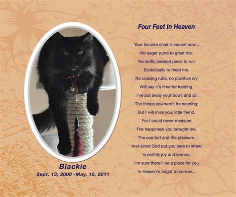 Beloved Cat Memorial Four Feet In Heaven By Custommemoryblankets 48
