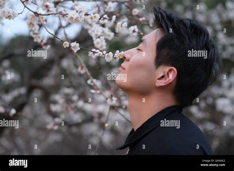Portrait Of Handsome Asian Young Man Close Eyes And Smell Plum Blossom