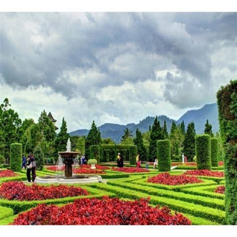 wisata taman bunga nusantara cianjur tempat wisata indonesia