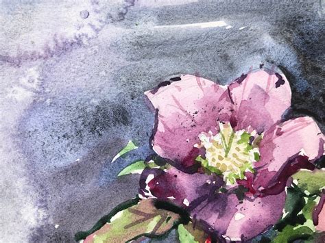 Original Watercolour Flower Painting Purple Hellebore Etsy Ireland
