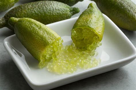 Citron caviar culture entretien récolte