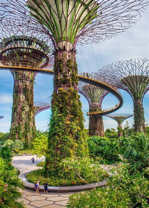 Gardens by the bay can be reached by public transportation via bus or mrt, with the bayfront station located just over the dragonfly bridge from the gardens. Gardens by the Bay: A Futuristic Garden in Singapore — No ...