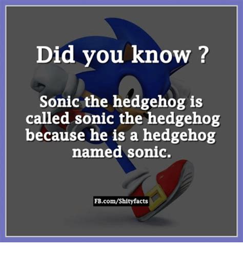 Did You Know Sonic The Hedgehog Is Called Sonic The Hedgehog Because