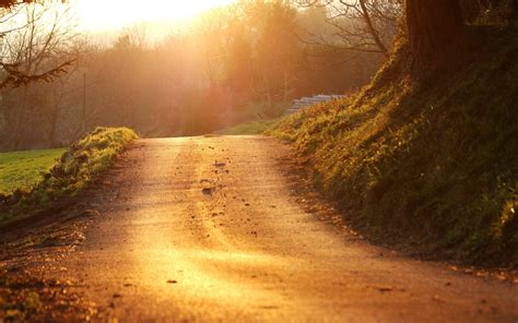 Road Landscape Sunlight Path Nature Wallpapers Hd Desktop And