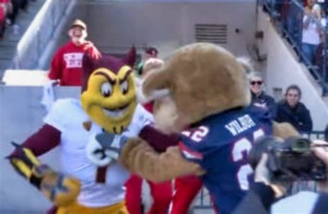 Arizona Wildcats And Arizona State Mascots Got Into Huge Brawl