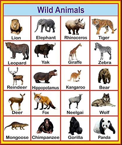 Buy Sds Learning Wild Animals Chart For Kids Reading And Writing Online Bc4
