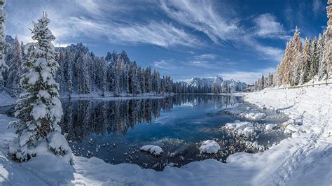 Winter Landscape Lake Reflection Pine Forest Trees With