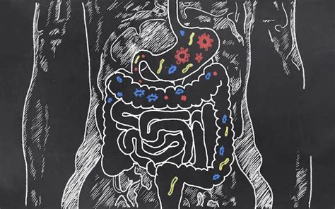 6 Signs Of An Unhealthy Gut