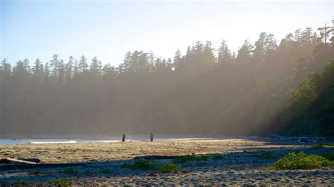 Pacific Rim National Park Reserve In Ucluelet British