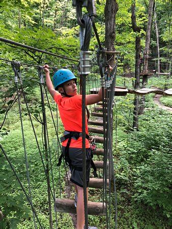 Treetop Trekking (Barrie) - 2019 All You Need to Know BEFORE You Go ...