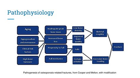 Ppt Pathophysiology Powerpoint Presentation Free Download Id