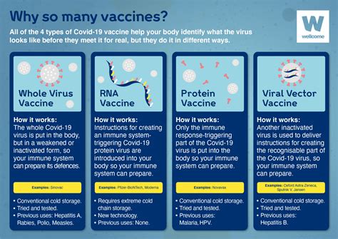 Four reasons why we need multiple vaccines for Covid-19 | News | Wellcome