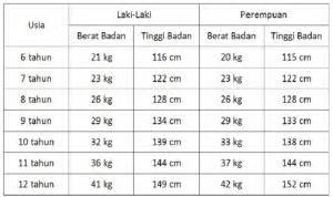 Untuk memastikan demam atau tidak, perlu diukur menggunakan termometer. Viral 38+ Ukuran Payudara Normal Usia 19 Tahun Hot Models