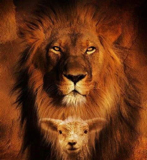The Lion And The Lamb Lion And Lamb Lion Of Judah Jesus Pictures