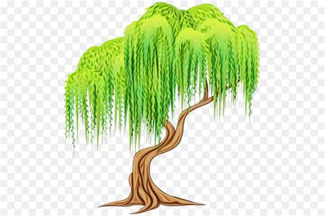 Weeping Willow Tree Clip Art
