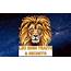 ♌ Leo Sign Traits  Personality And Compatibility Stylish Lion