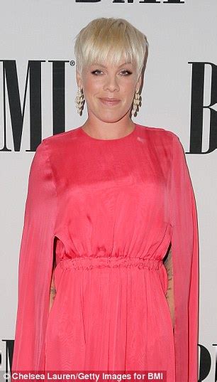 Pink Apologises For Dissing Demi Lovato And Other Mtv Vma Performers Daily Mail Online
