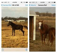 Members Only Access Unbeatable Discounts And Promotions On Craigslist Com Little Rock