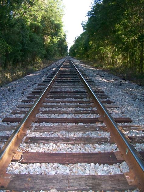 ChazzCreations - Surrounding Historic TownsAlachua & Gilchrist County