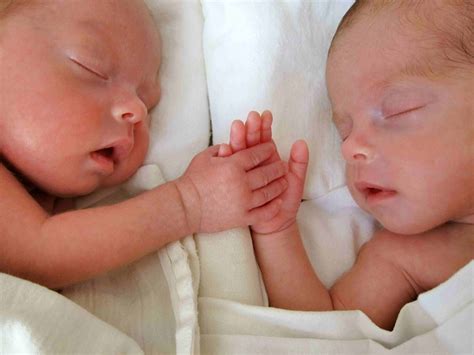 Gêmeos Da Mesma Placenta Pode Ser Casal