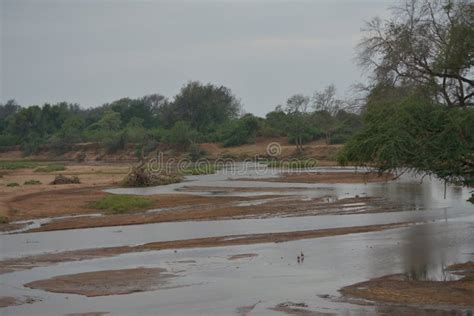The Mighty Limpopo River In Kruger National Parksouth Africa Stock