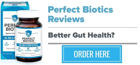 perfect biotics by probiotic america review adinaporter