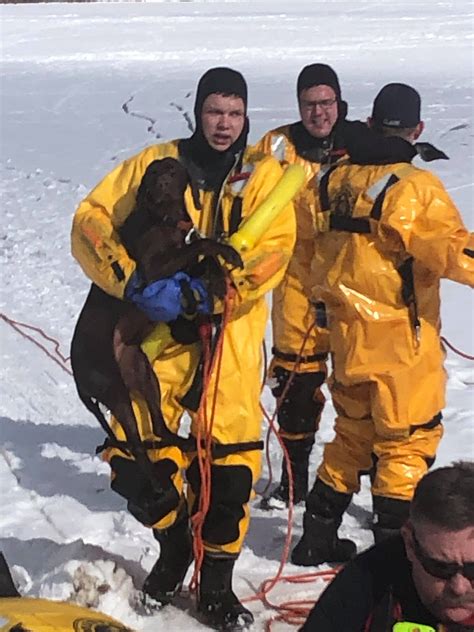 Information Release Pfpd Dog Ice Rescue Pagosa Fire Protection District