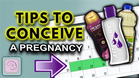 Ttc Sex Timing Sex Frequency And Lubricants Fertility Expert Tips