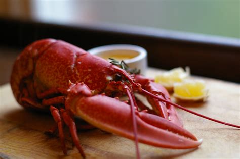Recipe Steamed Lobster With Melted Garlic Butter