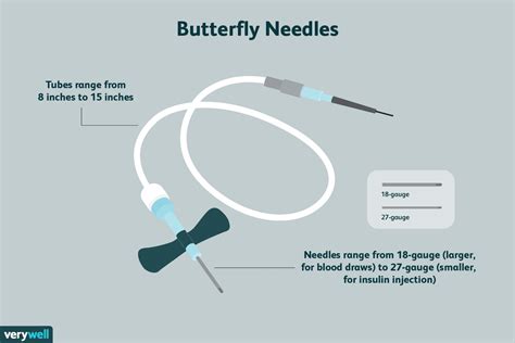 The easiest of these ks1 'parts of a butterfly' label activities features a beautiful illustration of a butterfly with some blank spaces for labels to be filled in. Butterfly Needles: Pros and Cons for Blood Draws and IVs