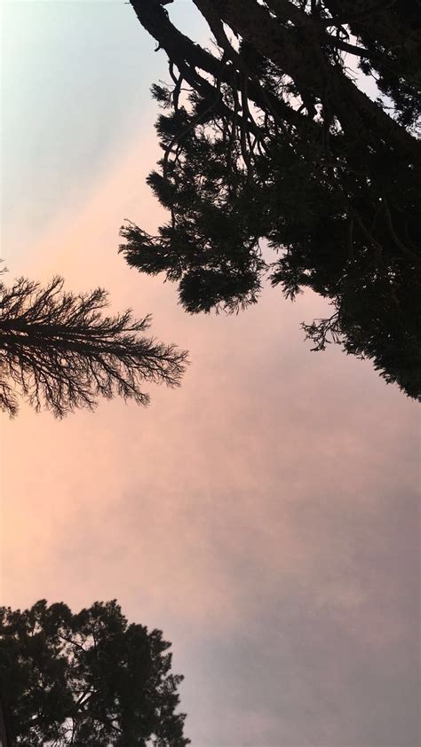 See more ideas about animals beautiful, cute animals, animal pictures. wallpaper, nature, aesthetic follow @idcaree ~ 𝒬𝓊𝑒𝑒𝓃 𝒦🥰 ...