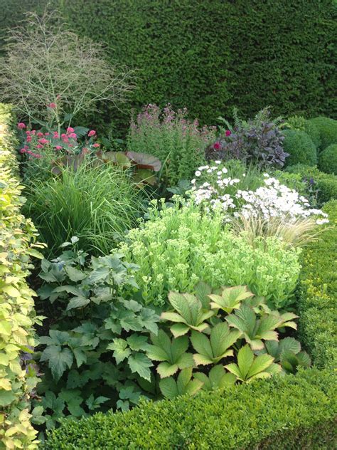 Garden Plants With Varying Greens Great Foliage Colors Plants