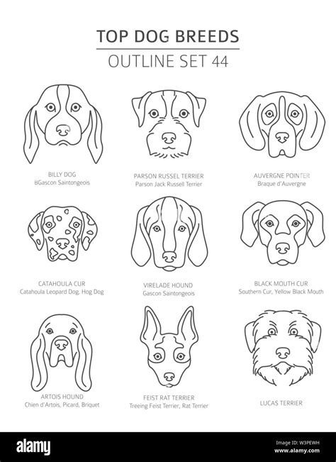 Top Dog Breeds Hunting Dogs Set Pet Outline Collection Vector