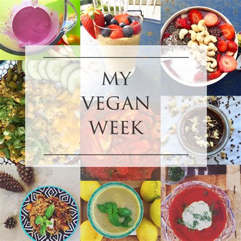 A Balanced Out Nutrition Plan With Simple Beginner Friendly Vegan