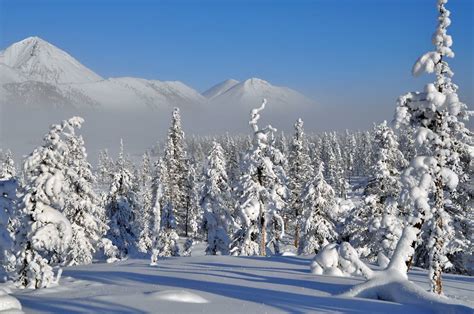 See a recent post on tumblr from @trondheimimmigrant about snø. Snö - Mikael Strandberg - Utsidan