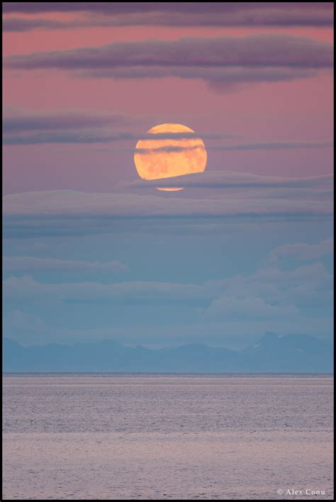 Twan Ocean Moonrise