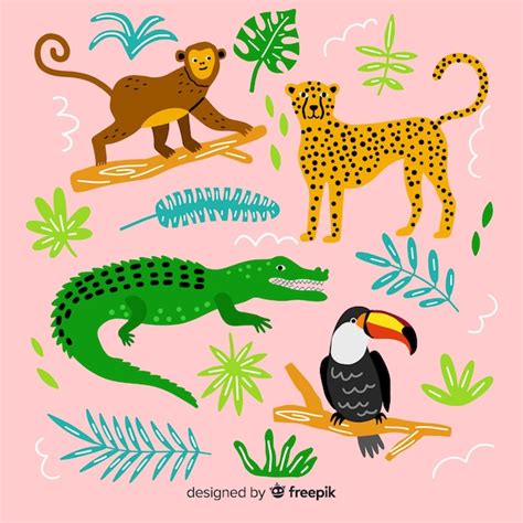 Premium Vector Hand Drawn Tropical Animal Collection