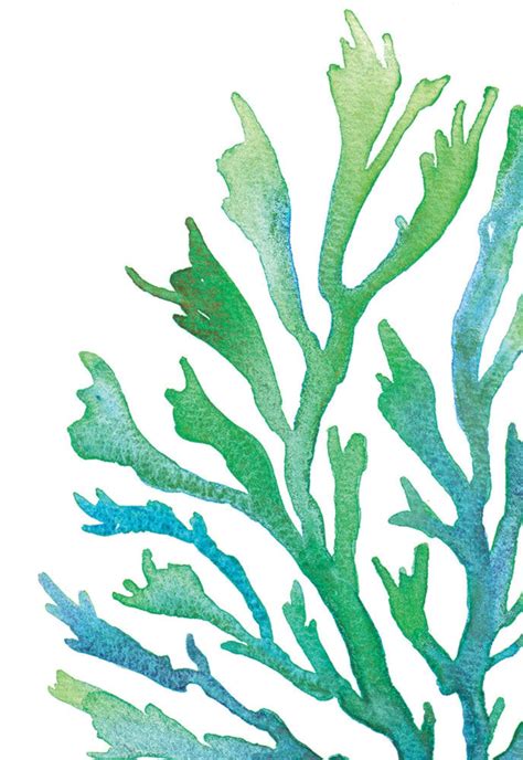 Seaweed Printable Printable Word Searches