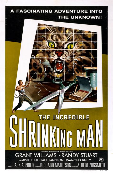 The Incredible Shrinking Man 1957 Bluray Fullhd Watchsomuch