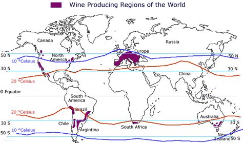Schiller Wine A Global View Who Makes And Who Drinks Wine